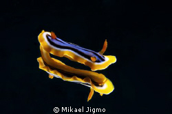 The Nudi is on a mirror so you get the reflection from th... by Mikael Jigmo 